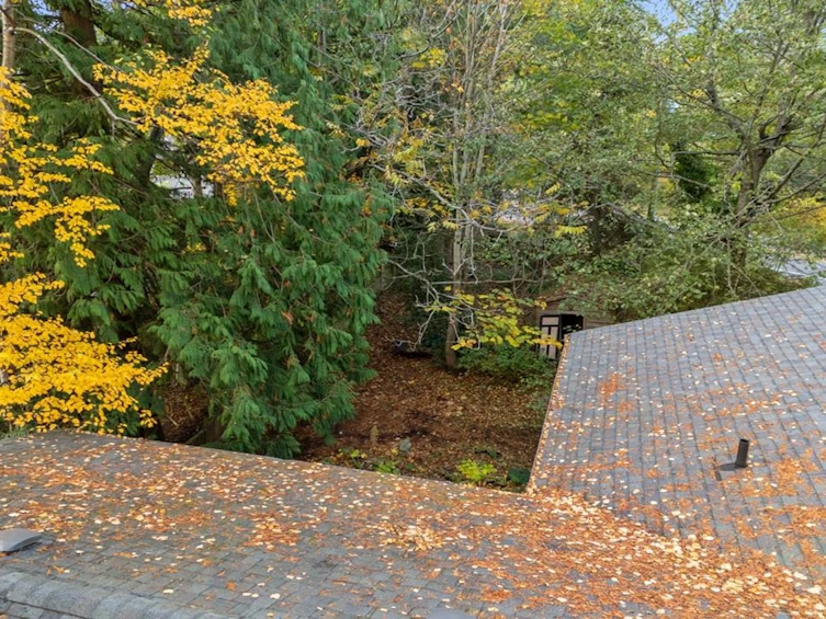 13317 15b Avenue, Surrey, BC, V4A 6C8 - 39