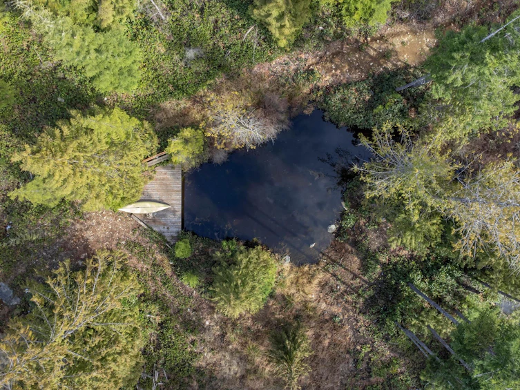 9305 Stephens Way, Halfmoon Bay, BC, V7Z 1G9 - 34