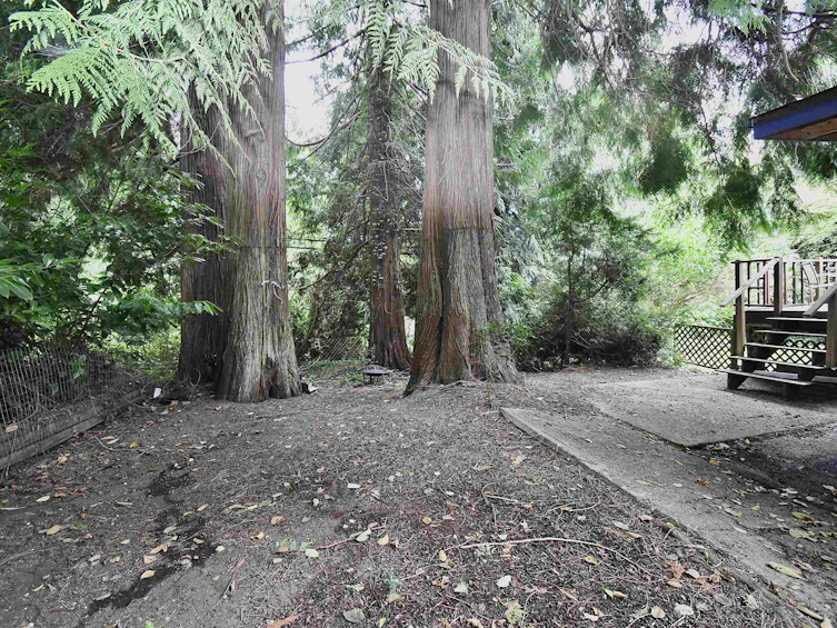 776 Geddes Road, Roberts Creek, BC, V0N 2W6 - 27
