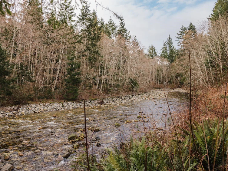 1-4514 Sunshine Coast Highway, Sechelt, BC, V7Z 0G9 - 36