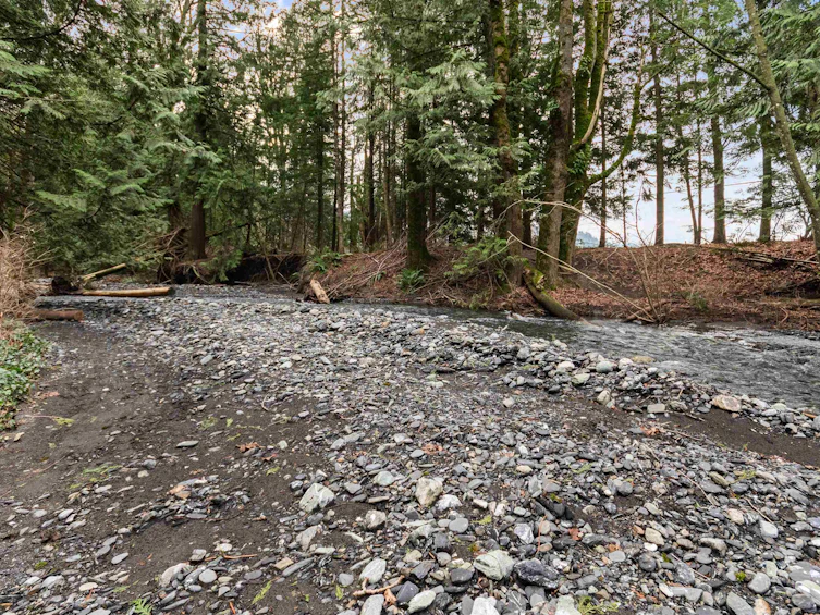 7955 Brookwood Place, Chilliwack, BC, V4Z 0A1 - 38