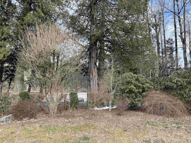 689 Hazel Street, Hope, BC, V0X 1L0 - 13