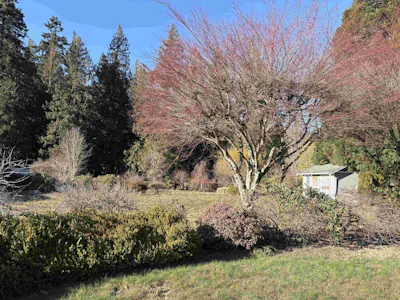 689 Hazel Street - 4