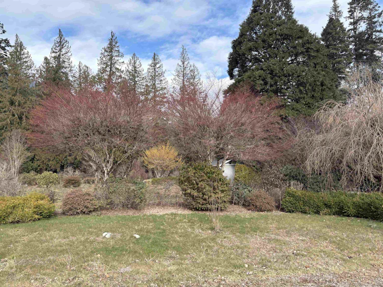 689 Hazel Street, Hope, BC, V0X 1L0 - 9