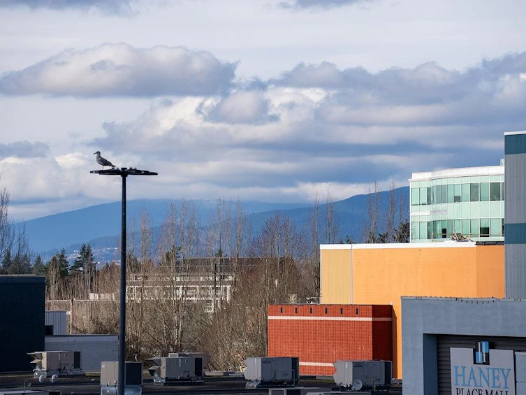305-11862 226 Street, Maple Ridge, BC, V2X 9C8 - 21