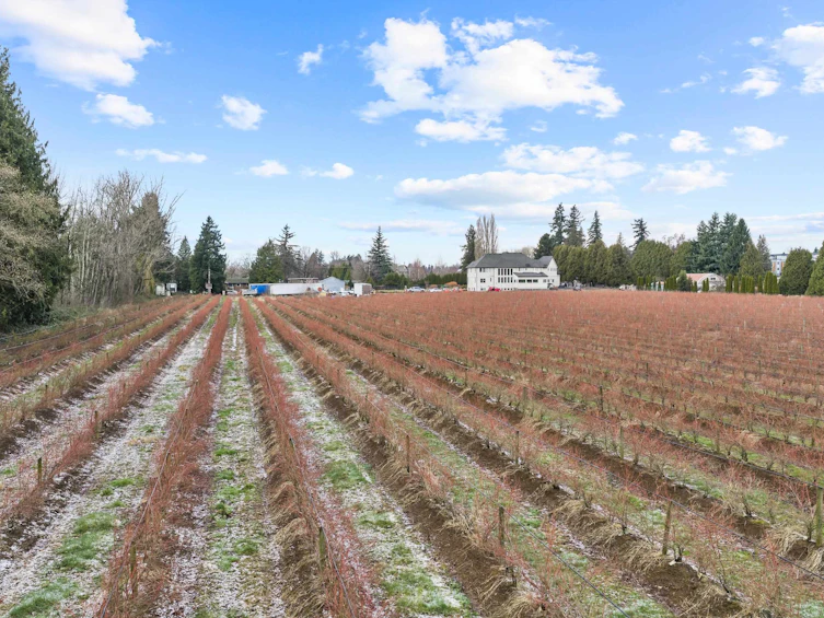1264 Mccallum Road, Abbotsford, BC, V2S 8A3 - 14