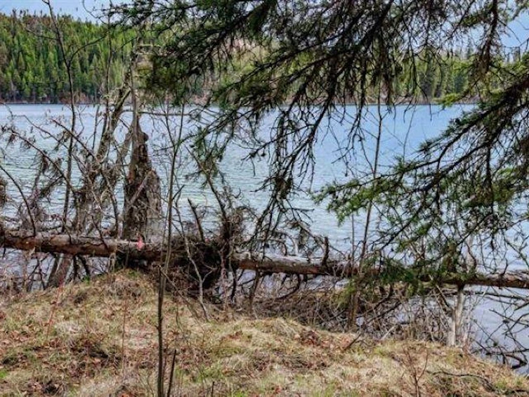 6062 Mahood Lake Road, 100 Mile House, BC, V0K 1X3 - 5