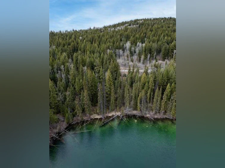 6062 Mahood Lake Road, 100 Mile House, BC, V0K 1X3 - 8