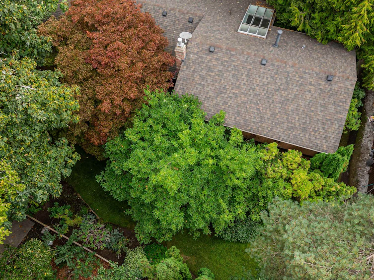4262 Yuculta Crescent, Vancouver, BC, V6N 3R5 - 39