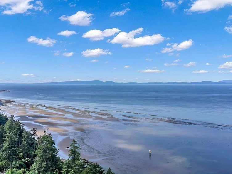 111 Graham Drive, Delta, BC, V4M 2J4 - 7
