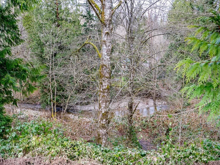 12041 256th Street Street, Maple Ridge, BC, V4R 1B5 - 2