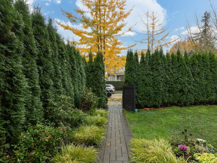 959 E 13th Avenue, Vancouver, BC, V5T 2L7 - 4