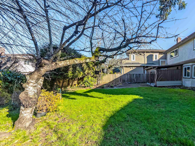 10331 Mortfield Road, Richmond, BC, V7A 2W1 - 6