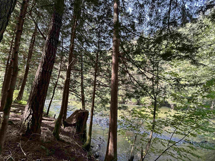 9063 Paradise Valley Road, Squamish, BC, V0N 1H0 - 9