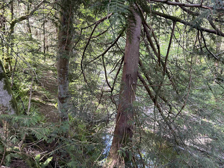 9063 Paradise Valley Road, Squamish, BC, V0N 1H0 - 6