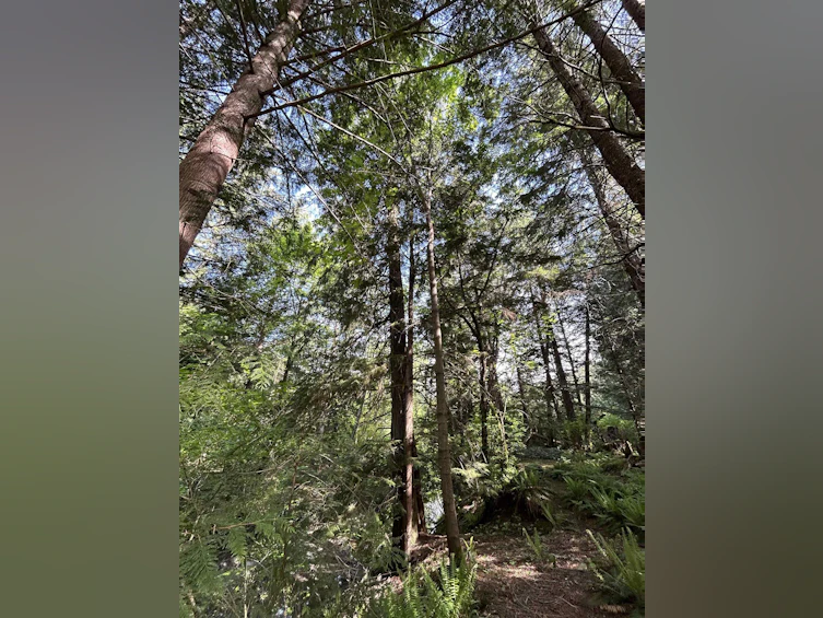 9063 Paradise Valley Road, Squamish, BC, V0N 1H0