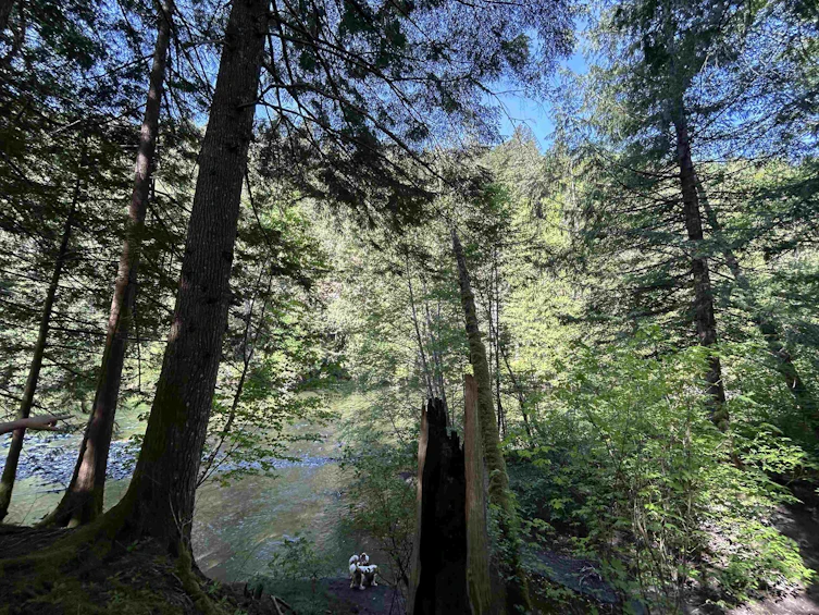 9063 Paradise Valley Road, Squamish, BC, V0N 1H0 - 10