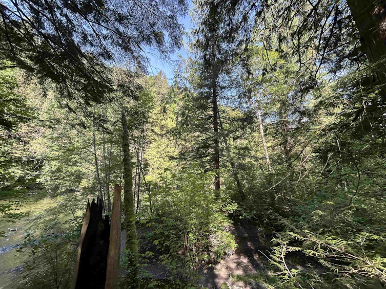 9063 Paradise Valley Road, Squamish, BC, V0N 1H0 - 5