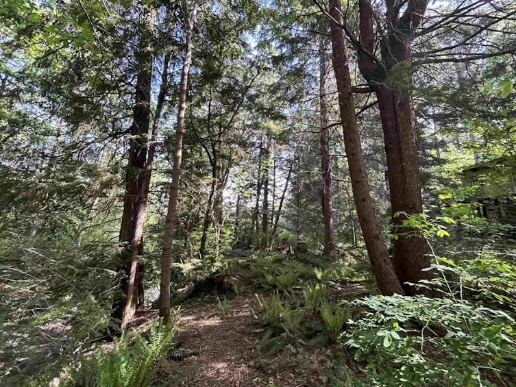 9063 Paradise Valley Road, Squamish, BC, V0N 1H0 - 4