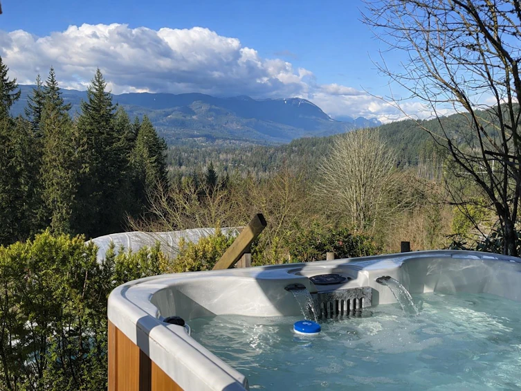 31081 Silverhill Avenue, Mission, BC, V4S 1G9