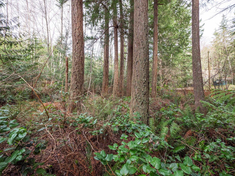 LOT 19 Orca Road, Pender Harbour Egmont, BC, V0N 1S1 - 13