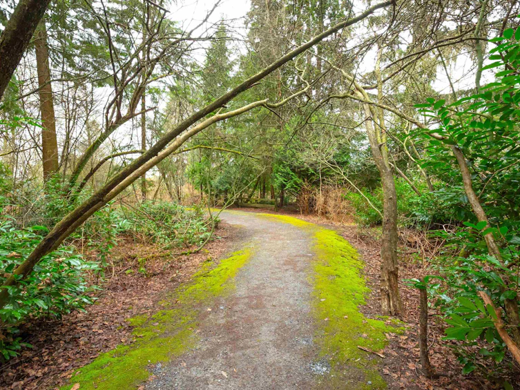 107-1150 Dufferin Street, Coquitlam, BC, V3B 7M8 - 33