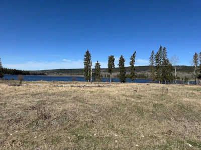 1861 Taylor Road - 5