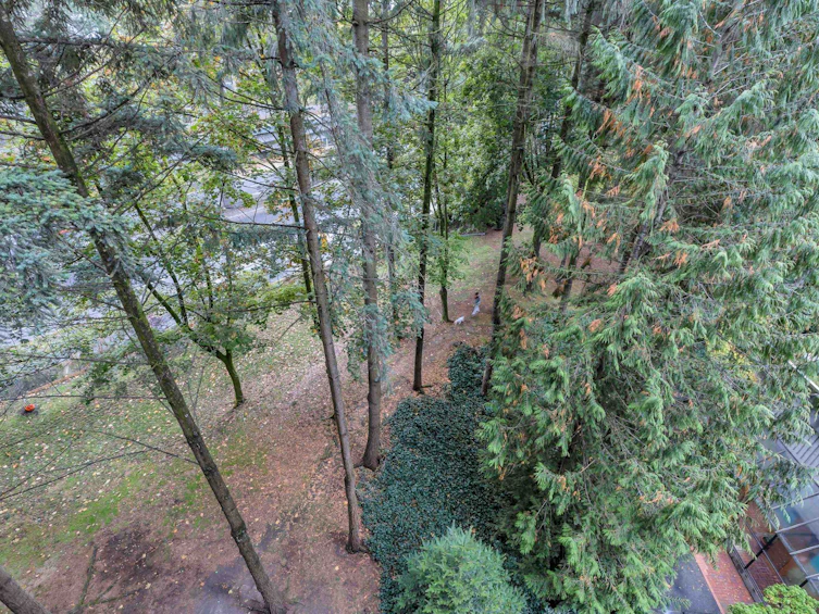 501-3771 Bartlett Court, Burnaby, BC, V3J 7G8 - 31