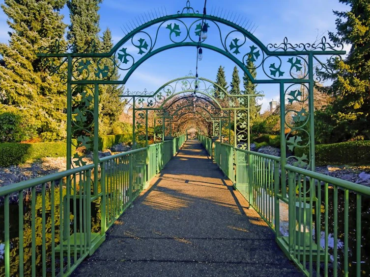 245-13888 70 Avenue, Surrey, BC, V3W 0R8 - 17