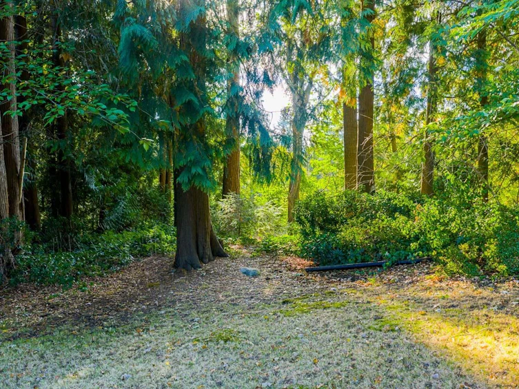 8061 Mcgregor Avenue, Burnaby, BC, V5J 4H7 - 7