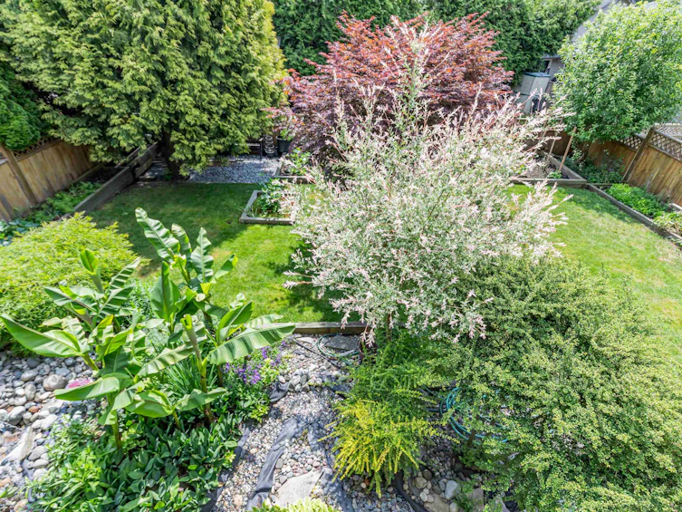 11728 Creekside Street, Maple Ridge, BC, V4R 2V4 - 38