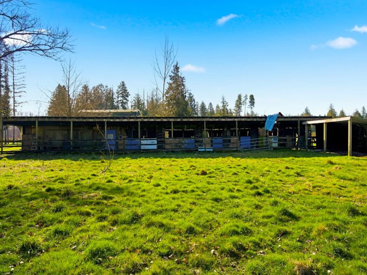3907 212 Street, Langley, BC, V3A 9L1 - 32