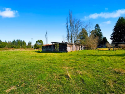 3907 212 Street - 4