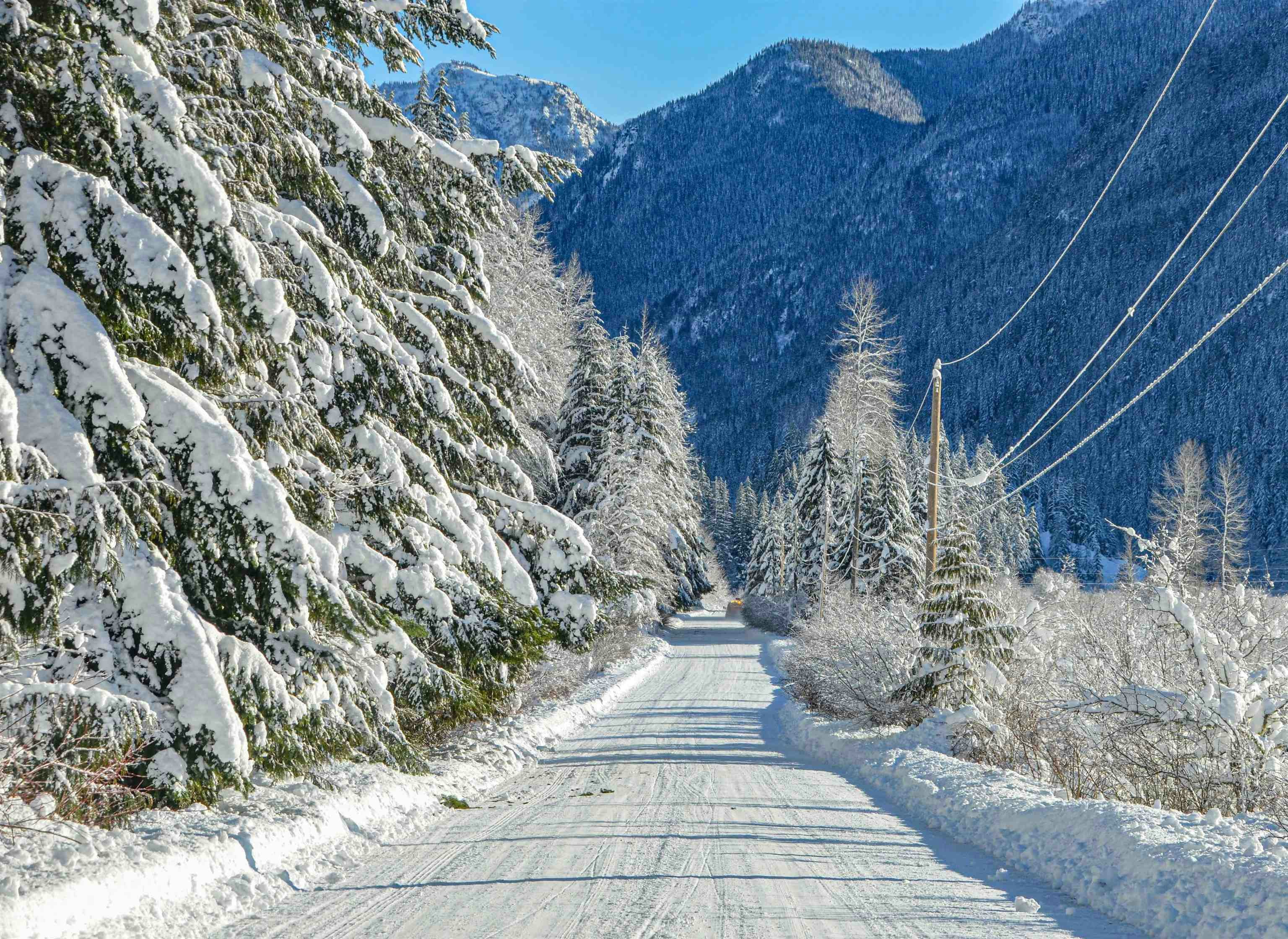 H113 Strawberry Lane, Hope, BC, V0X 1L5 - 40