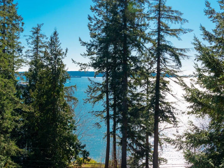 4437 Piccadilly North, West Vancouver, BC, V7W 1C8 - 22