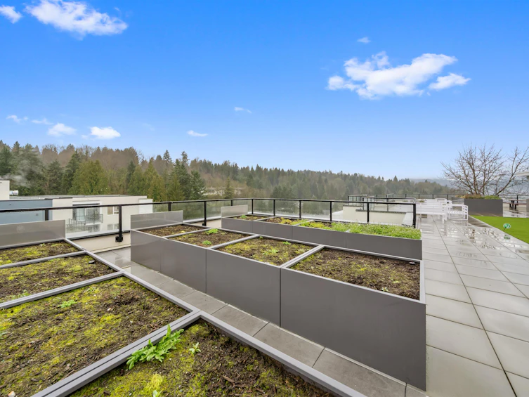 305-2002 St. George Street, Port Moody, BC, V3H 0N4 - 23