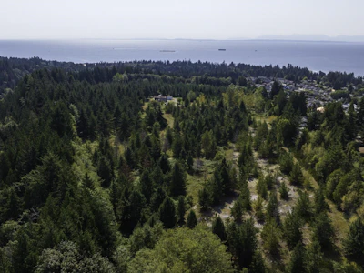 4860 Skylark Road - 5