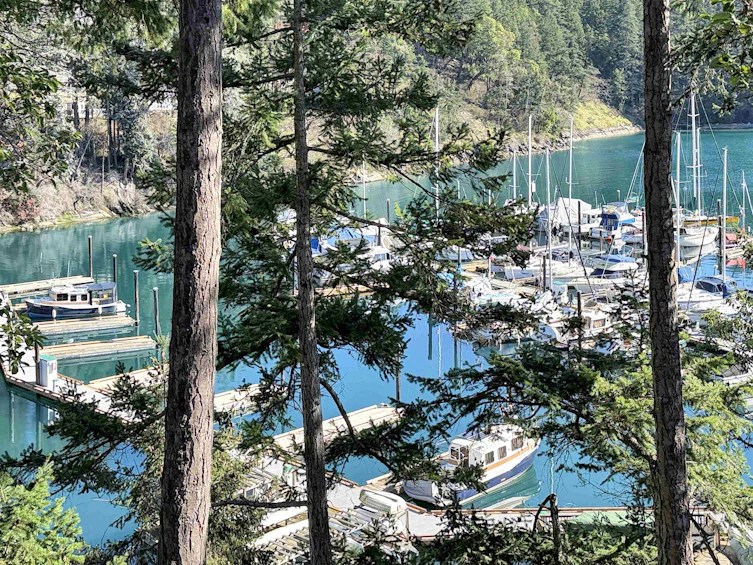 14C-2315 Mackinnon Road, Pender Island, BC, V0N 2M1 - 7