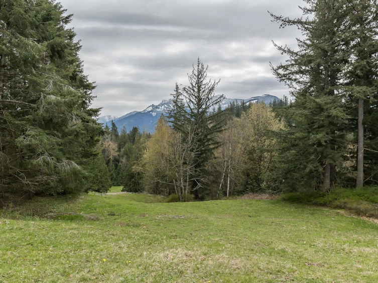 48522 Elk View Road, Chilliwack, BC, V4Z 1H1 - 31