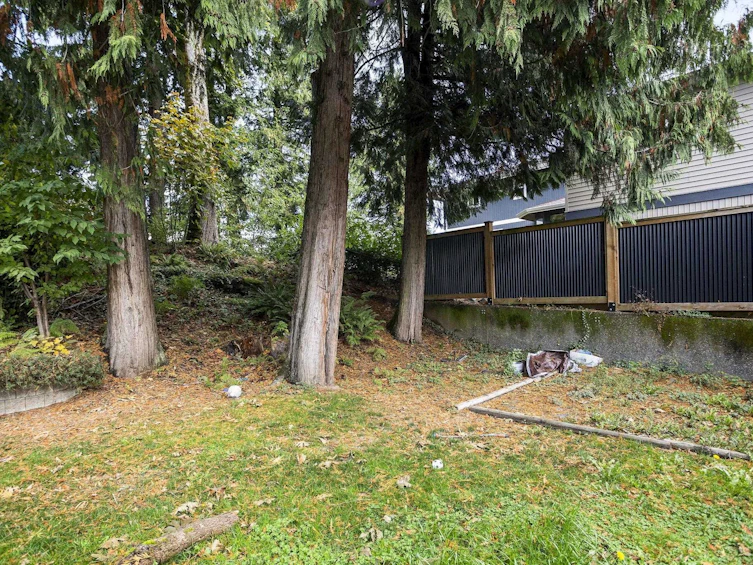 10031 Eagle Crescent, Chilliwack, BC, V2P 7R1 - 36