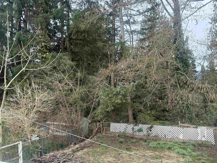 13833 114 Avenue, Surrey, BC, V3R 2L8 - 32