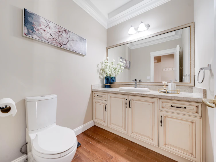 3355 164a Street, Surrey, BC, V3Z 0G5 - 17