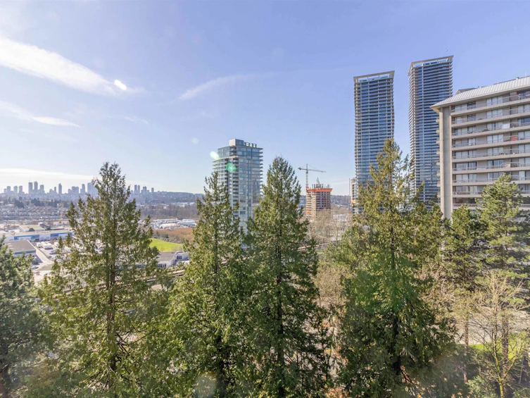 908-2041 Bellwood Avenue, Burnaby, BC, V5B 4V5 - 22