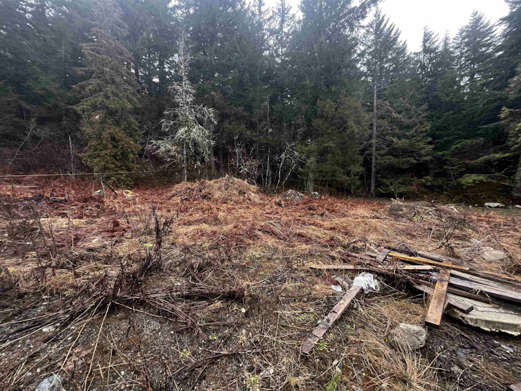 LMV 7 Old Hope Princeton Highway, Hope, BC, V0X 1L5 - 2