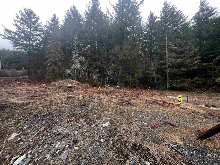 LMV 7 Old Hope Princeton Highway, Hope, BC, V0X 1L5 - 3