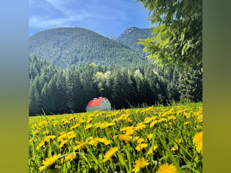 LMV 7 Old Hope Princeton Highway, Hope, BC, V0X 1L5 - 30