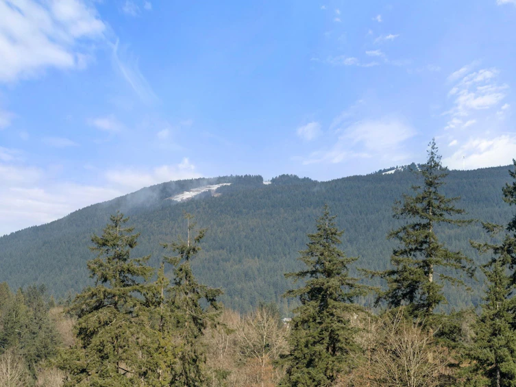 1001 Old Lillooet Road, North Vancouver, BC, V7J 3H6 - 32