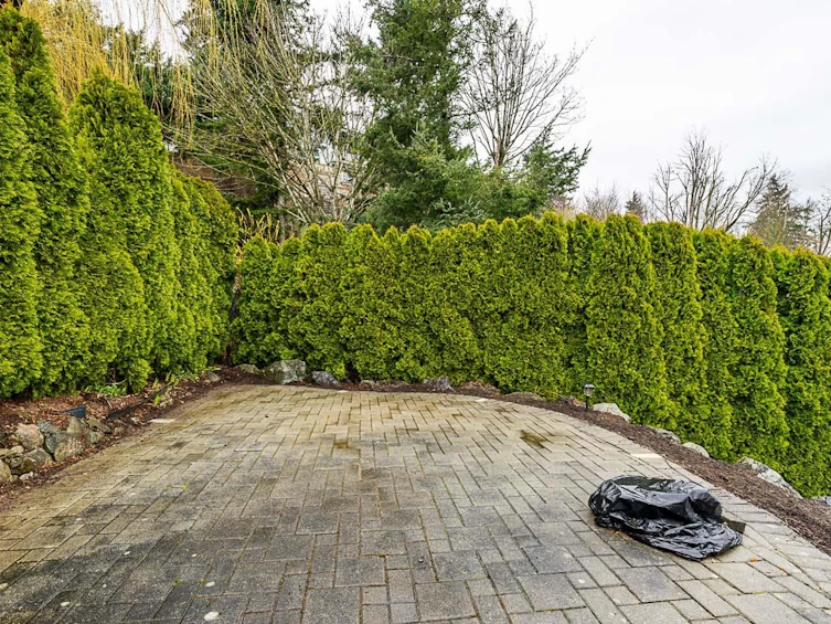 2259 Mountain Drive, Abbotsford, BC, V3G 1E4 - 34