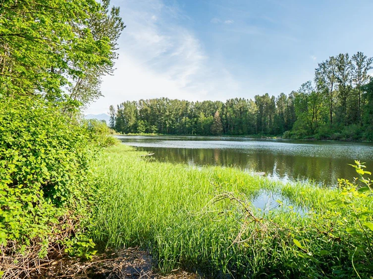 44190 Malcolm Road, Mission, BC, V0M 1N0 - 29