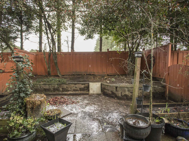 8-20985 Camwood Avenue, Maple Ridge, BC, V2X 2N9 - 23